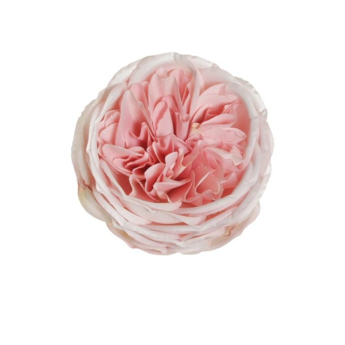 PICK ROSA AUSTIN D10 H5 PINK